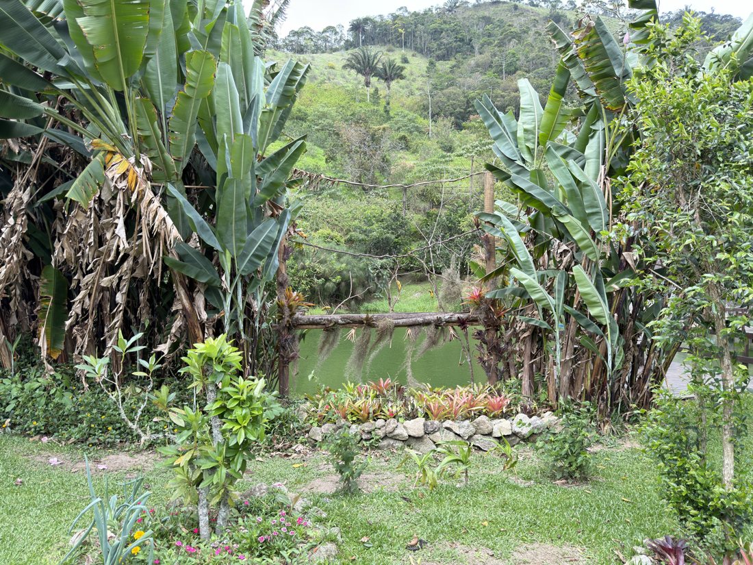 Comedouro no jardim, entre bananeiras, com o lago ao fundo