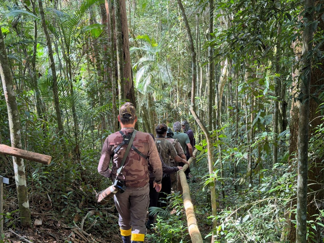 Grupo caminhando em fila por uma trilha na mata