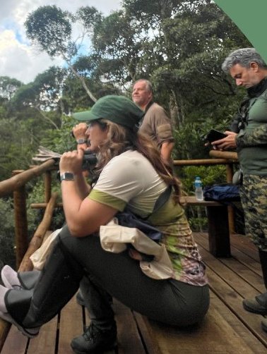 Observadores fotografando da plataforma na altura da copa