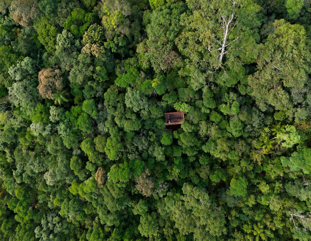 Vista aérea da copa da Mata Atlântica com uma plataforma de observação entre as árvores