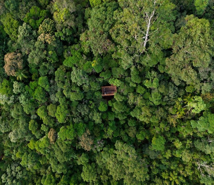 Vista aérea da copa da mata com uma plataforma de observação no meio das árvores