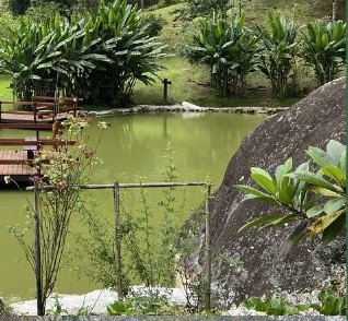 Lago com deck de madeira e jardim do lodge