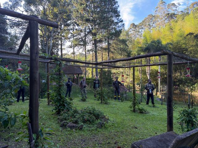 Grupo de observadores no jardim dos beija-flores