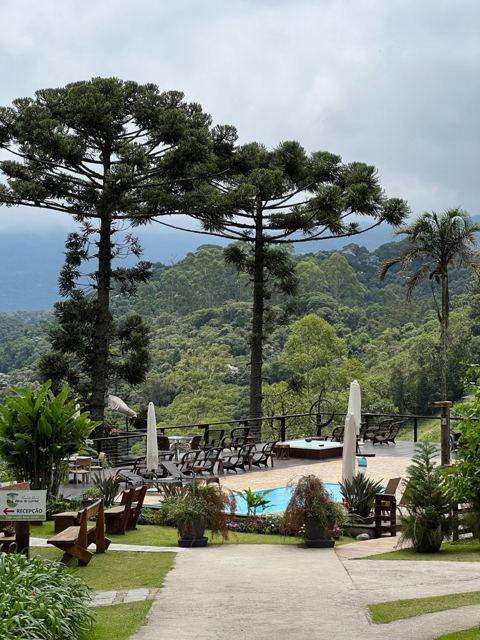Área da piscina e do ofurô entre araucárias e a mata